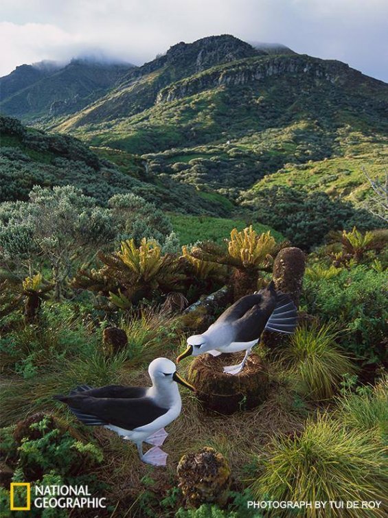 Tristan Da Cunha: The World’s Most Remote Inhabited Island! | Paul Rose ...