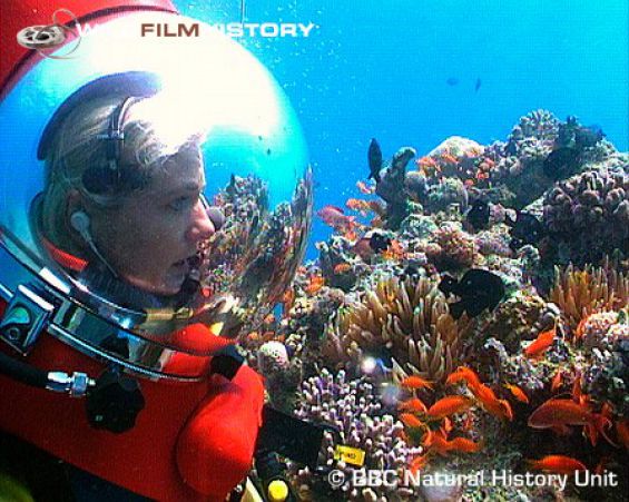 lama diving helmet